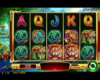 blazing tiger