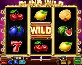 Blind Wild