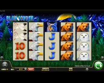 blue coyote