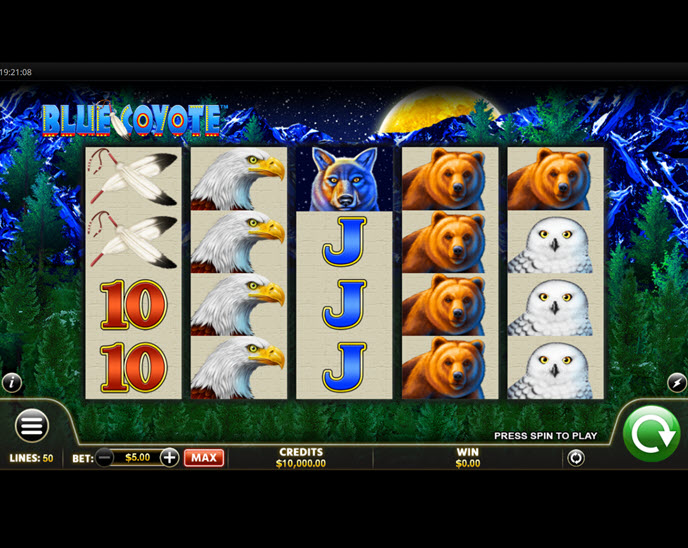 blue coyote