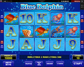 blue dolphin
