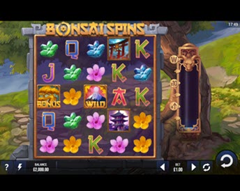 bonsai spins