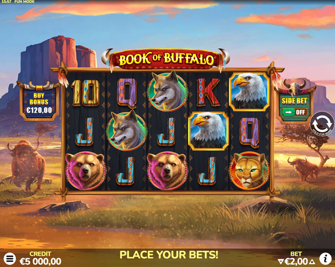 book of buffalo