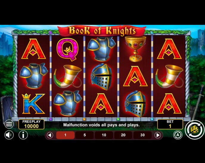 book of knights