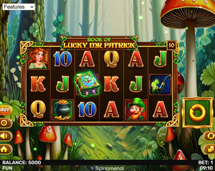 book of lucky mr patrick