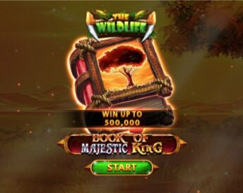 Book Of Majestic King