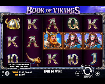 book of vikings