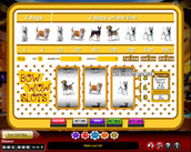 bow wow slots