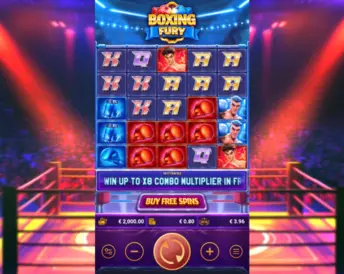 boxing fury