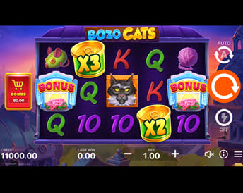 bozo cats