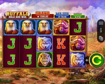 buffalo hold and win