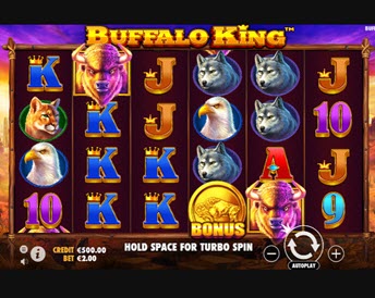 buffalo king