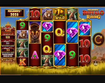 buffalo rising megaways jackpot king