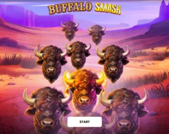 Buffalo Smash