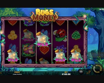 bugs money
