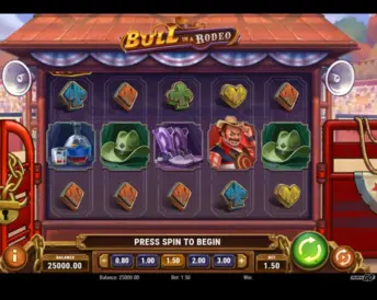 Bull in a Rodeo