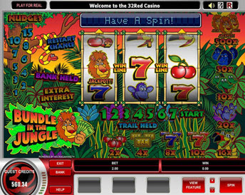 bundle in the jungle