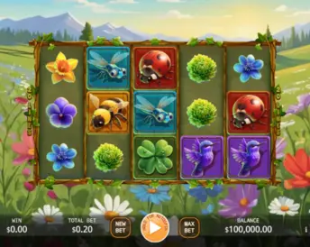 Butterfly Wild Dance