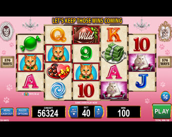 candy, cats and cash