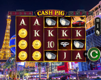 cash pig