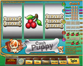 cash puppy