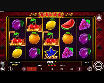 cash & spin 243