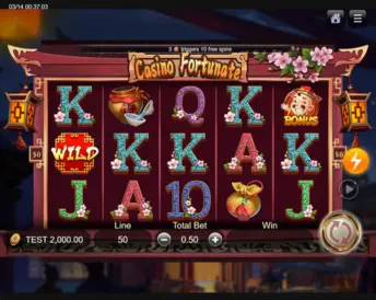 Casino Fortunate