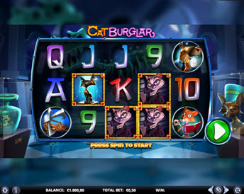 cat burglar