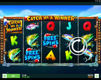 catch me a winner
