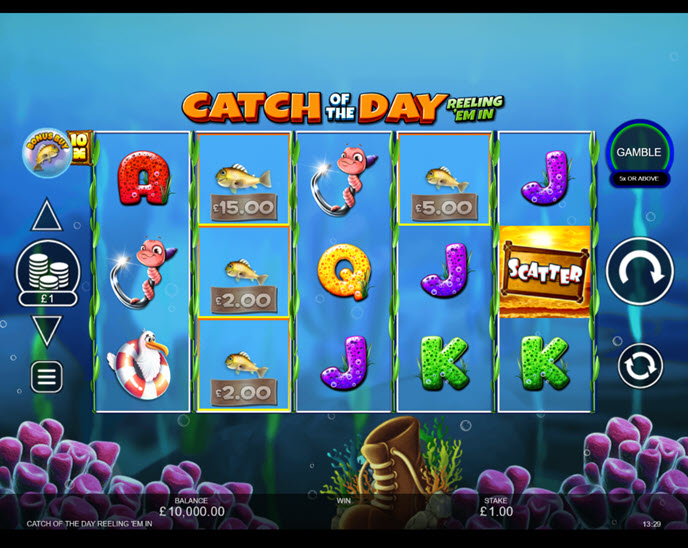 catch of the day reeling ‘em in