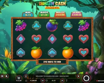 Chameleon Cash