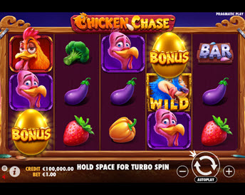 chicken chase