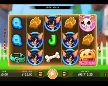 Chihuahua Party