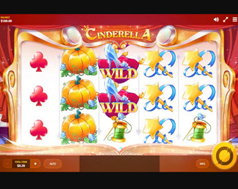 cinderella (red tiger)