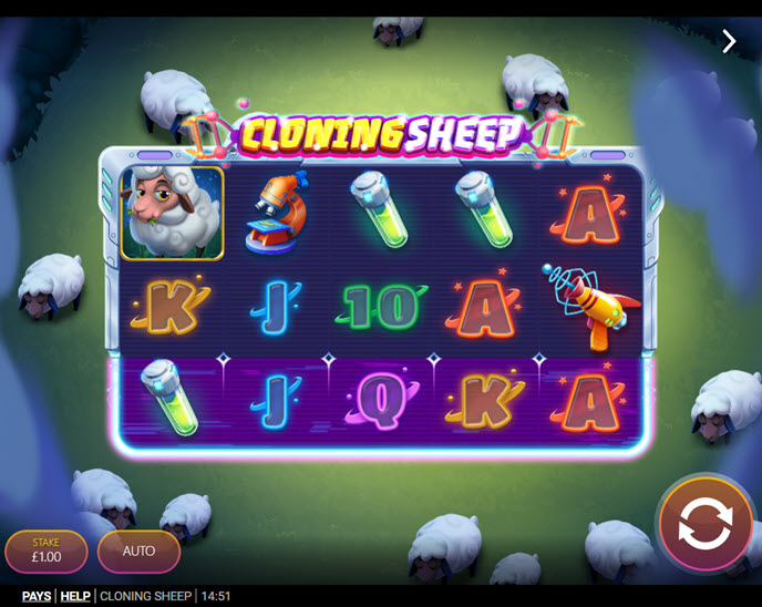 cloning sheep