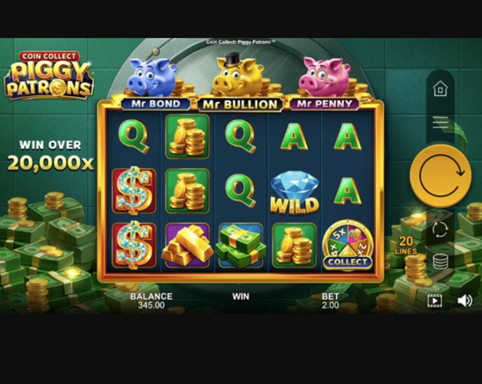coin collect: piggy patrons