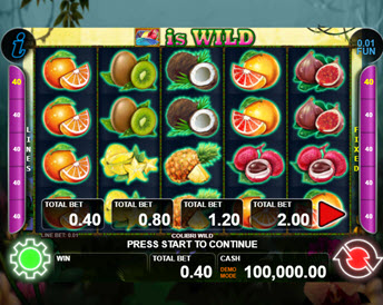colibri wild