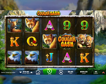 cougar cash