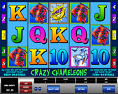 crazy chameleons