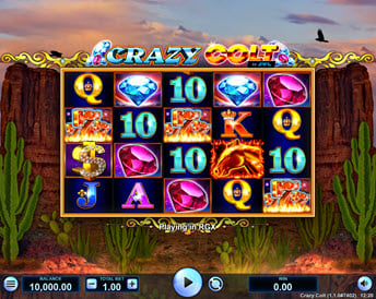 crazy colt