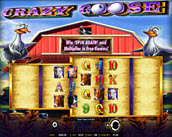 crazy goose