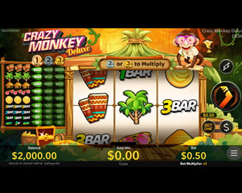 crazy monkey deluxe