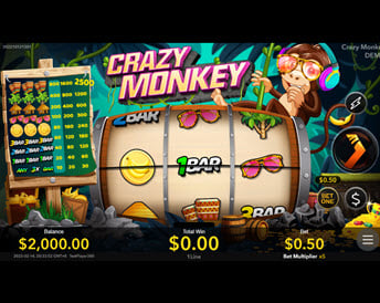 crazy monkey (nextspin)