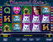 diamond cats
