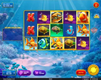 Divers Paradise