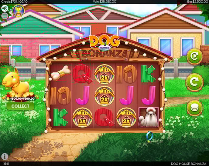 dog house bonanza