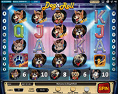 dog n roll