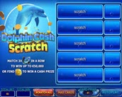 dolphin cash scratch