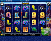 dolphin gold