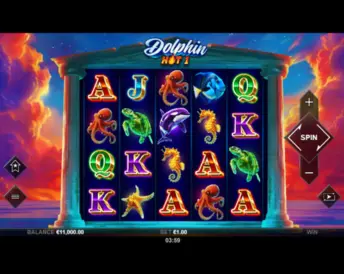 Dolphin Hot 1